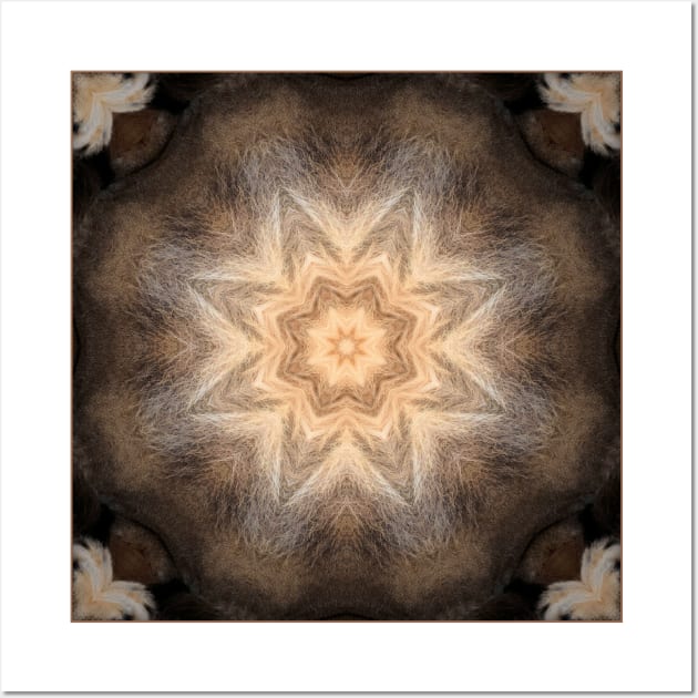 Fur Flower Wall Art by Geo Nature